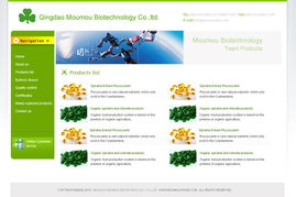 青島網景 以專業模板與定制開發，做客戶信賴的網站建設伙伴